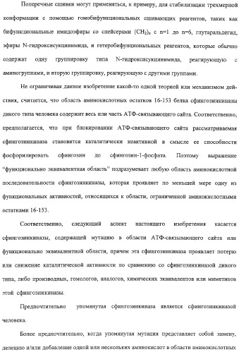 Сфингозинкиназа (варианты), нуклеиновая кислота, ее кодирующая (варианты), и их применение (патент 2326945)