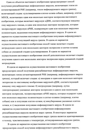 Способы и композиции для экспрессии антисмысловой вирусной рнк в клетках собаки (патент 2457250)
