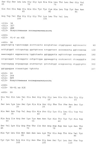 Pscaxcd3, cd19xcd3, c-metxcd3, эндосиалинxcd3, epcamxcd3, igf-1rxcd3 или fap-альфаxcd3 биспецифическое одноцепочечное антитело с межвидовой специфичностью (патент 2547600)