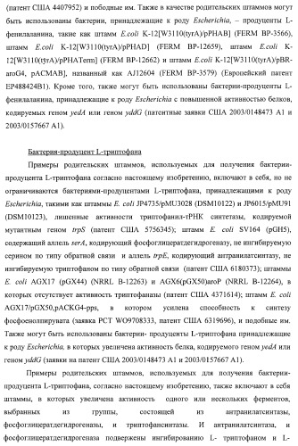 Способ получения l-треонина с использованием бактерии, принадлежащей к роду escherichia, в которой инактивирован ген ygid (патент 2396349)