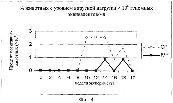 Предупреждение и лечение субклинической формы болезней, вызываемых цирковирусом свиней (pcvd) (патент 2520759)