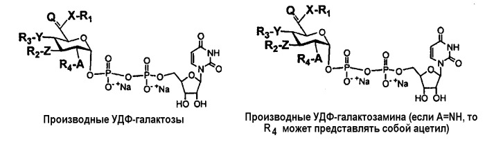 Гликопэгилированный гранулоцитарный колониестимулирующий фактор (патент 2400490)