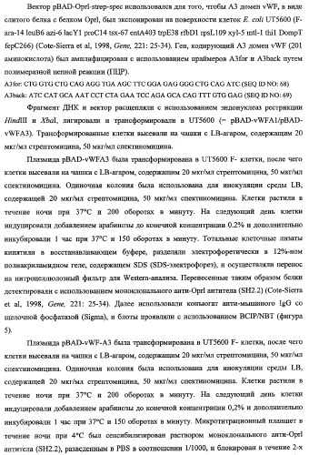 Терапевтические полипептиды, их гомологи, их фрагменты и их применение для модуляции агрегации, опосредованной тромбоцитами (патент 2357974)