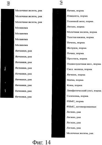 Идентификация опухолевых антигенов для диагностики и терапии (патент 2485974)