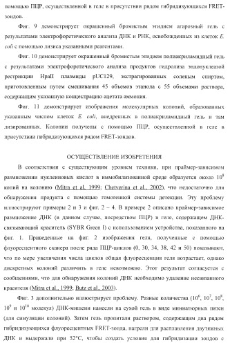 Бесконтактные способы обнаружения молекулярных колоний, наборы реагентов и устройство для их осуществления (патент 2394915)