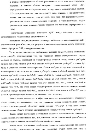 Способ конструирования оперонов, содержащих трансляционно сопряженные гены (патент 2411292)