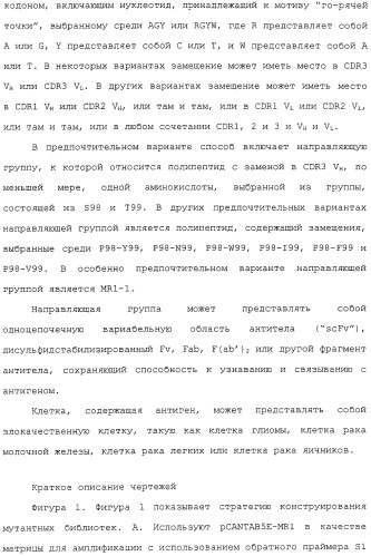 Scfv против egfrviii с улучшенной цитотоксичностью и выходом, иммунотоксины на их основе и способы их применения (патент 2317999)