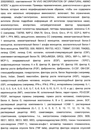 Генетически кодируемые флюоресцентные кумариновые аминокислоты (патент 2473690)