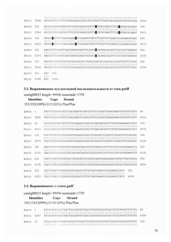 Штаммы bifidobacterium adolescentis 150 и bifidobacterium angulatum gt 102, синтезирующие гамма-аминомасляную кислоту (патент 2614110)