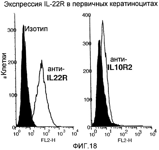 Составы и способы лечения заболеваний и нарушений, связанных с передачей сигналов цитокинами (патент 2426742)