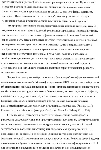 Вирусоподобные частицы, включающие гибридный белок белка оболочки бактериофага ар205 и антигенного полипептида (патент 2409667)