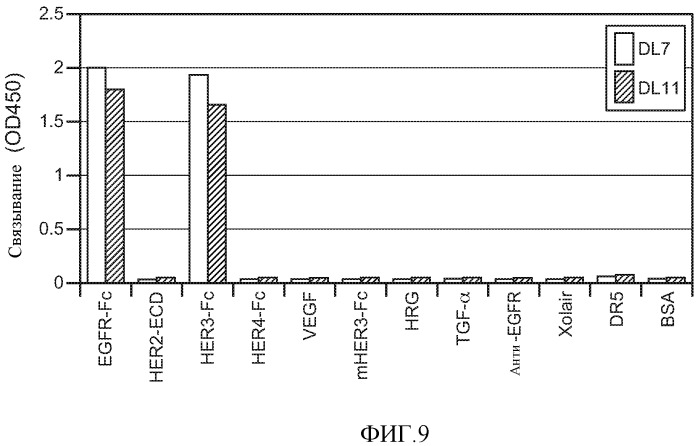 Антитела к her (патент 2504553)