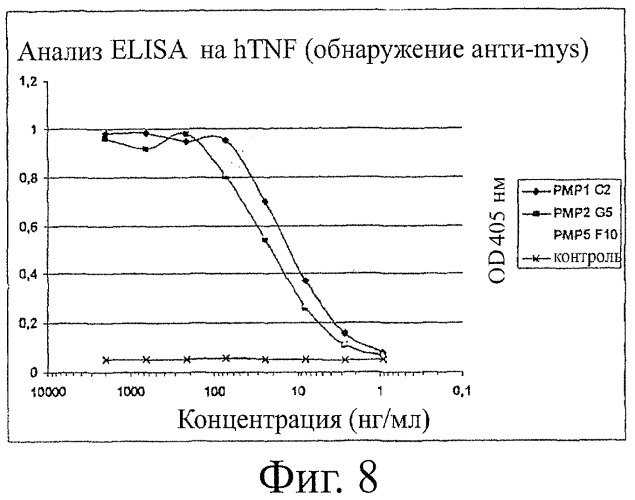 Улучшенные нанотела против фактора некроза опухоли-альфа (патент 2464276)