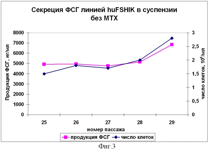 Клеточная линия hufshik, секретирующая рекомбинантный человеческий фсг (патент 2502798)