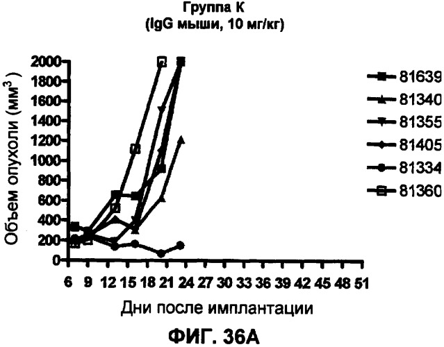 Моноклональные антитела человека к белку программируемой смерти 1 (pd-1) и способы лечения рака с использованием анти-pd-1-антител самостоятельно или в комбинации с другими иммунотерапевтическими средствами (патент 2406760)