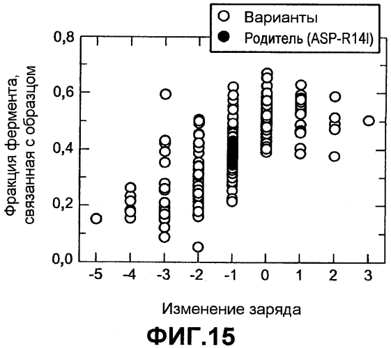 Способы улучшения множественных свойств белка (патент 2553550)