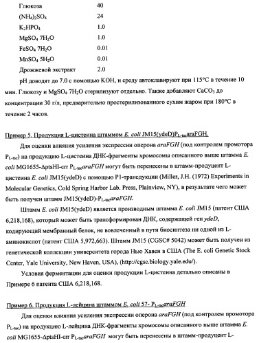 Способ получения l-треонина с использованием бактерии, принадлежащей к роду escherichia (патент 2338783)