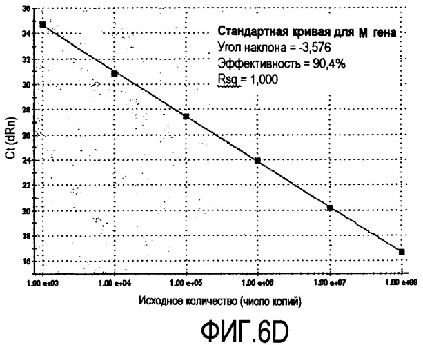 Штамм вируса гриппа а собак (варианты), иммуногенный полипептид, полинуклеотид, кодирующий его, вектор экспрессии полипептида, иммуногенная композиция, содержащая полипептид, и способ индукции иммунного ответа у животного (патент 2449014)