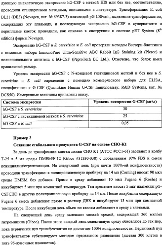 Конъюгаты g-csf (патент 2307126)