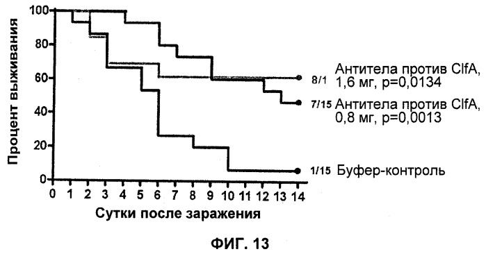 Иммуногенные композиции антигенов staphylococcus aureus (патент 2536981)