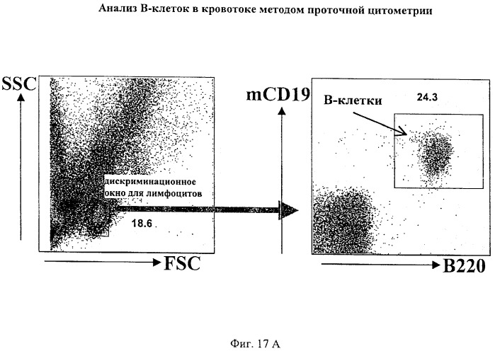 Гуманизированные антитела к cd19 и их применение для лечения онкологического, связанного с трансплантацией и аутоиммунного заболевания (патент 2495882)