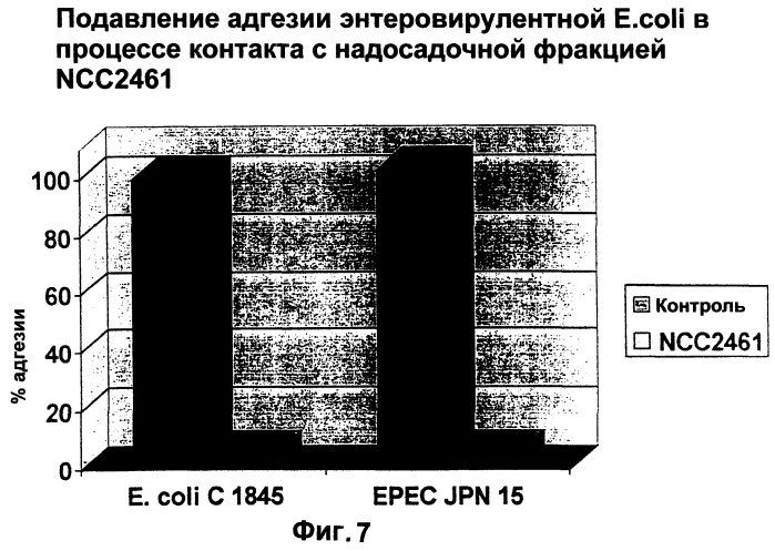 Штамм lactobacillus paracasei cncm i-2116 (ncc 2461), обладающий способностью предотвращать колонизацию кишечника патогенными бактериями, вызывающими диарею, и предотвращать заражение эпителиальных клеток кишечника ротавирусами, пищевой продукт и фармацевтическая композиция для профилактики и/или лечения заболеваний, связанных с диареей (патент 2247569)