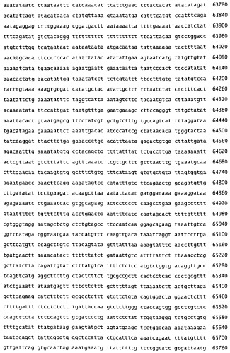 Применение s1p (патент 2362565)