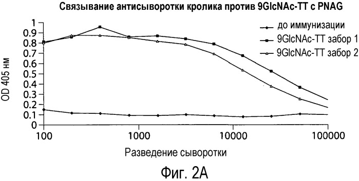 Способы и композиции, относящиеся к синтетическим бета-1,6-глюкозаминолигосахаридам (патент 2532911)