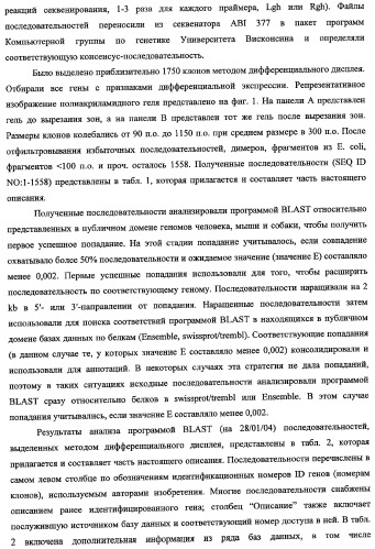 Гены, связанные с остеоартритом собак, и относящиеся к этому способы и композиции (патент 2341795)