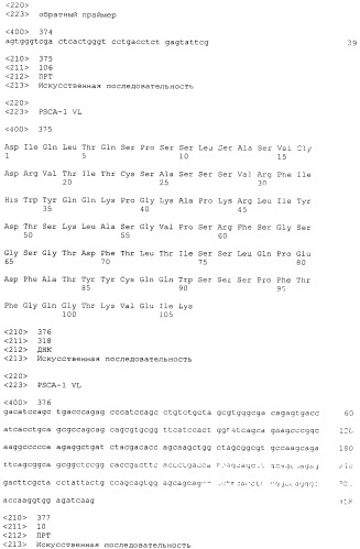 Pscaxcd3, cd19xcd3, c-metxcd3, эндосиалинxcd3, epcamxcd3, igf-1rxcd3 или fap-альфаxcd3 биспецифическое одноцепочечное антитело с межвидовой специфичностью (патент 2547600)