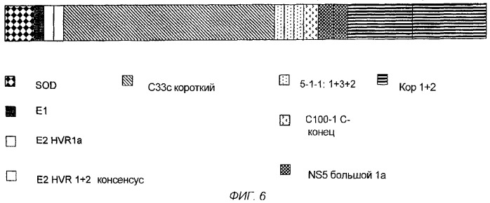 Определение комплекса hcv-антиген/антитело (патент 2274863)