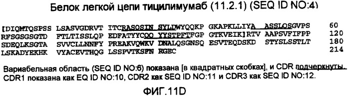 Композиция антител против ctla-4 (патент 2356579)