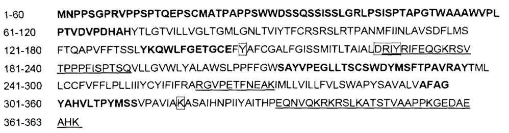 Светочувствительный химерный белок gpcr (патент 2637367)