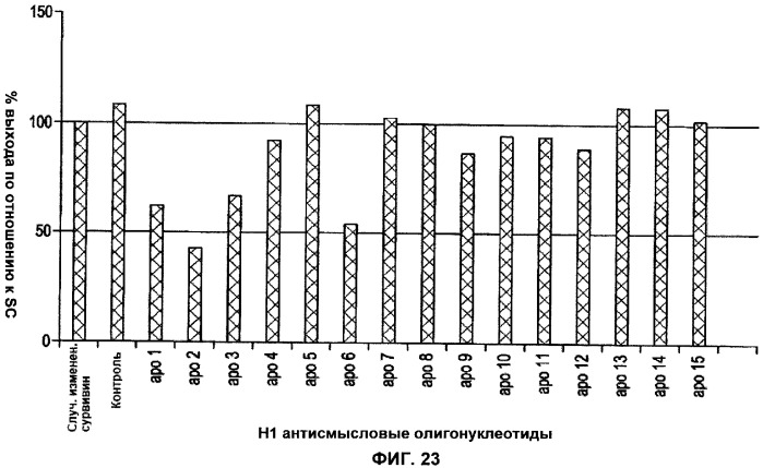 Лечение пролиферативных заболеваний с использованием антисмыслового олигомера iap и химиотерапевтического препарата (патент 2376018)