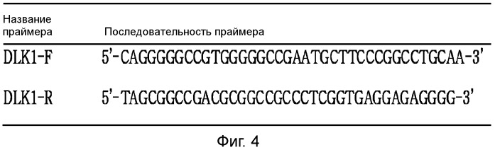 Слитый белок dlk1-fc и его применение для ингибирования метастазов рака, полинуклеотид, кодирующий белок, вектор, клетка-хозяин, способ получения слитого белка, композиция и способ ингибирования метастазов рака (патент 2531756)