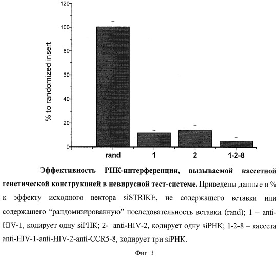 Кассетная генетическая конструкция, экспрессирующая три биологически активные siphk, эффективно атакующие транскрипты вируса иммунодефицита человека и гена ccr5 с помощью phk-интерференции (патент 2425150)