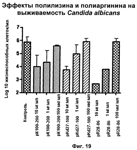 Противомикробные пептиды, содержащие аргинин- и лизинсодержащий мотив (патент 2396273)