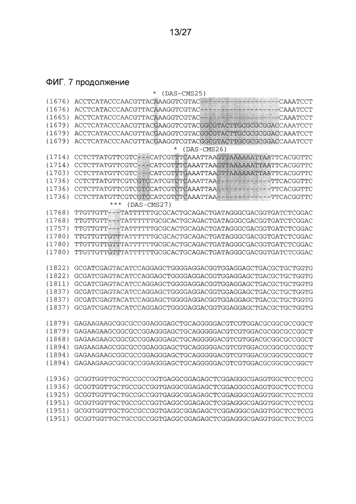 Ген-восстановитель rf4 для цитоплазматической мужской стерильности (cms) c-типа кукурузы, молекулярные маркеры и их применение (патент 2603005)