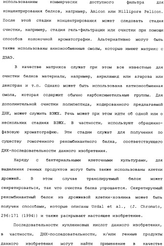 Ее3-семейство белков и соответствующие днк-последовательности (патент 2333918)