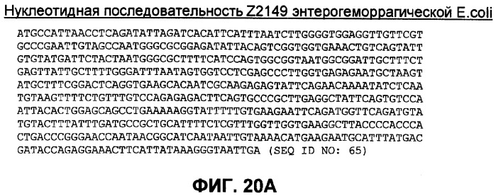 Бактериальные факторы вирулентности и варианты их применения (патент 2465331)