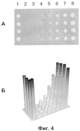Биологический микрочип для множественного параллельного иммунологического анализа соединений и способы иммуноанализа, в которых он используется (патент 2363955)