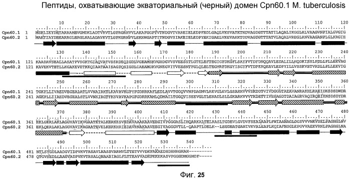 Биологические материалы и их применение (патент 2508296)