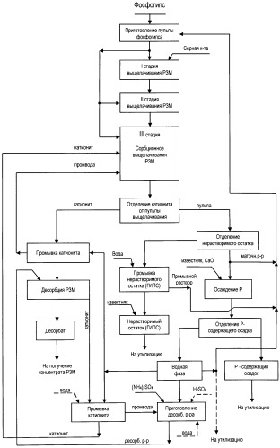 Способ переработки фосфогипса (патент 2504593)