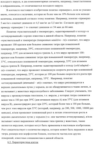 Линии клеток почки собаки майдин-дэрби (mdck), поддерживающие рост вирусов до высоких титров, и способ применения этих клеток в биореакторе (патент 2487935)
