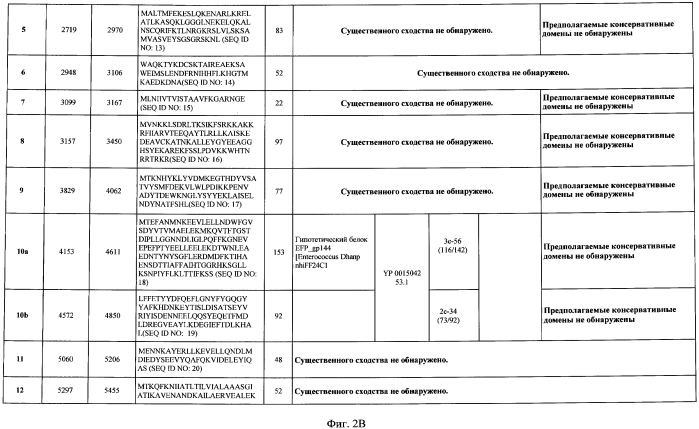 Бактериофаг, обладающий активностью против pseudomonas aeruginosa, белки бактериофага и способы их применения (патент 2580248)