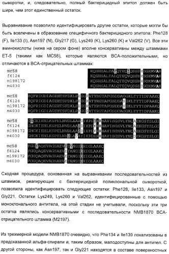 Домены и эпитопы менингококкового белка nmb1870 (патент 2375374)