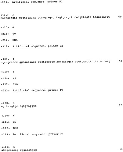 Способ получения l-аргинина и l-цитруллина с использованием бактерии семейства enterobacteriaceae, в которой ослаблена экспрессия гена pepa (патент 2471870)