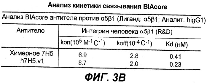 Новые антитела (патент 2490277)