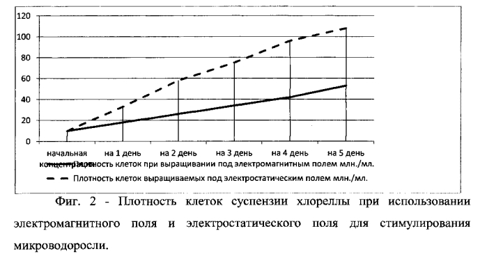 Способ выращивания хлореллы (патент 2558300)
