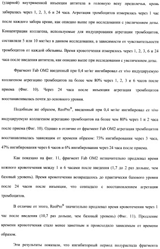 Антитела к гликопротеину vi и способы продуцирования и использования этих антител (патент 2407752)